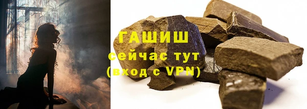 шишки Белокуриха
