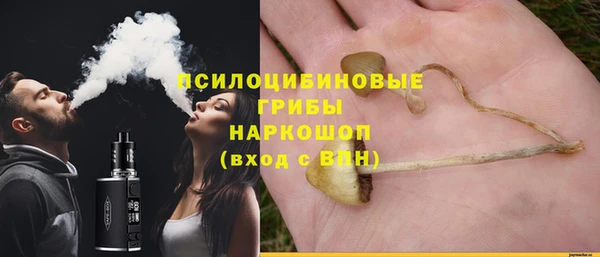 ешки Сосновка
