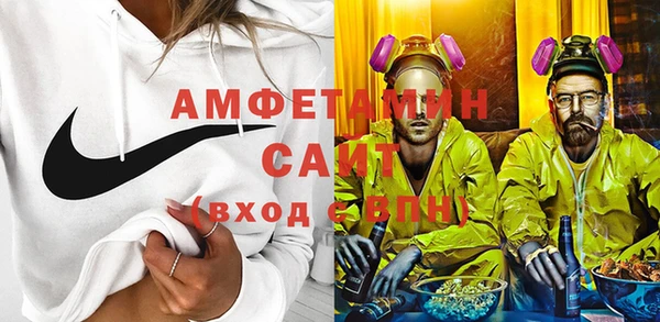шишки Белокуриха