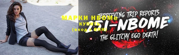 шишки Белокуриха