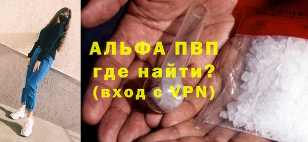 шишки Белокуриха