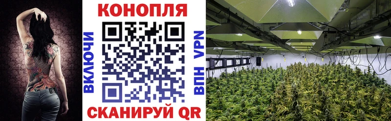 Каннабис сатива  дарнет шоп  Малмыж 